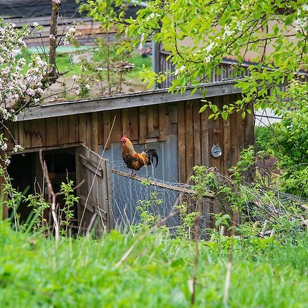 Apartamento Gut Tausendbachl Regen Exterior foto