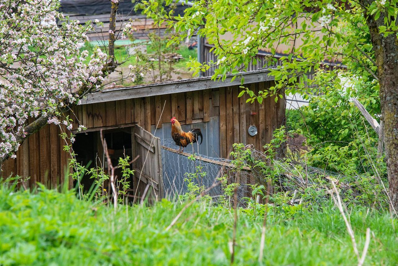 Apartamento Gut Tausendbachl Regen Exterior foto